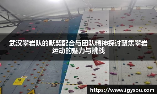 武汉攀岩队的默契配合与团队精神探讨聚焦攀岩运动的魅力与挑战