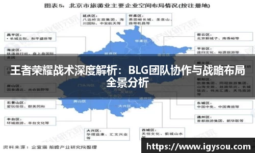 王者荣耀战术深度解析：BLG团队协作与战略布局全景分析